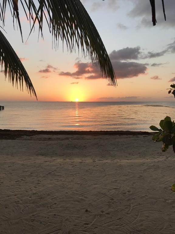 Lost Reef Resort Riversdale エクステリア 写真